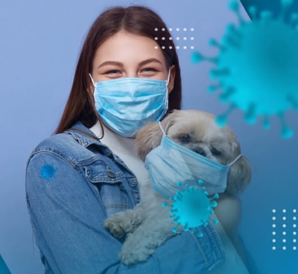 &Uuml;berblick &uuml;ber HealthMask