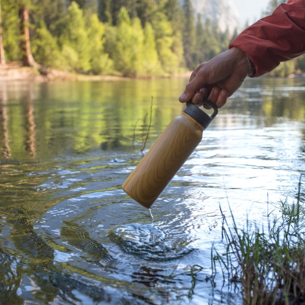 Healthy Human Stein Water Bottle Review