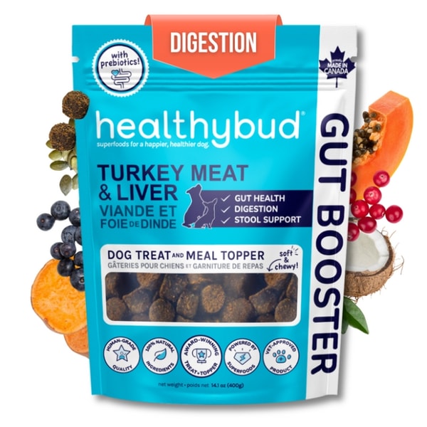 Healthybud Gut Booster Reviews