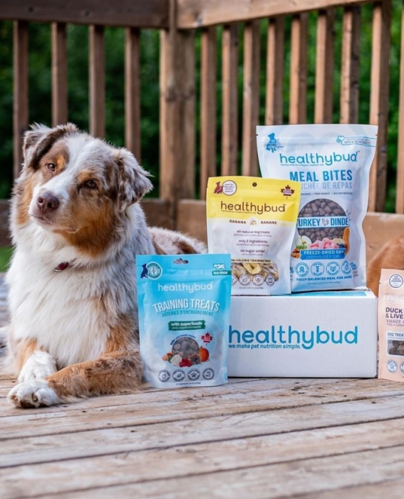 Healthybud Reviews