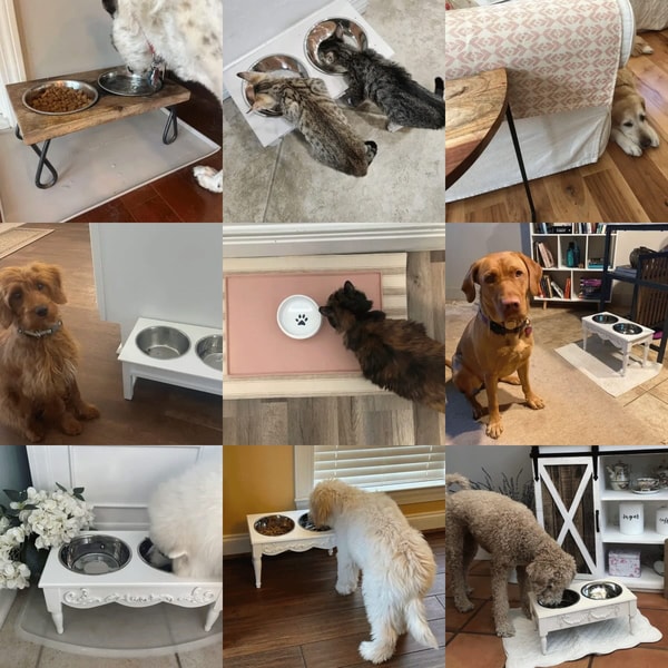 Helpen Pets Review