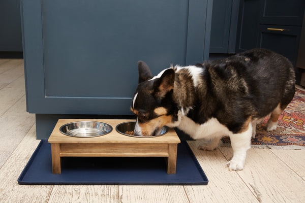 Helpen Pets Farmhouse Elevated Feeder Review