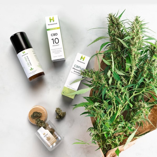 Hempamed Bewertung