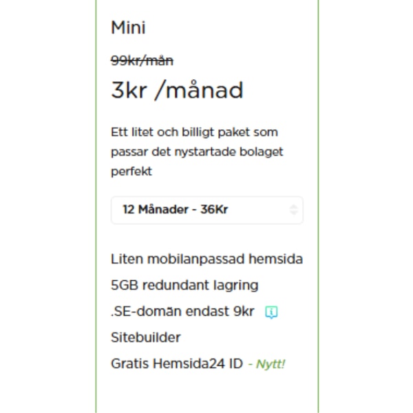 Hemsida24 Mini Recension