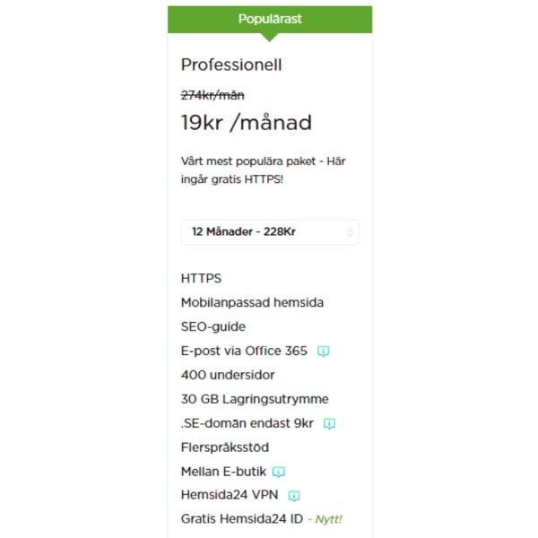 Hemsida24 Professionell Recension