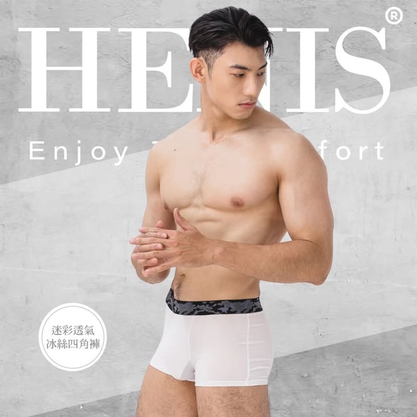 HENIS 概览