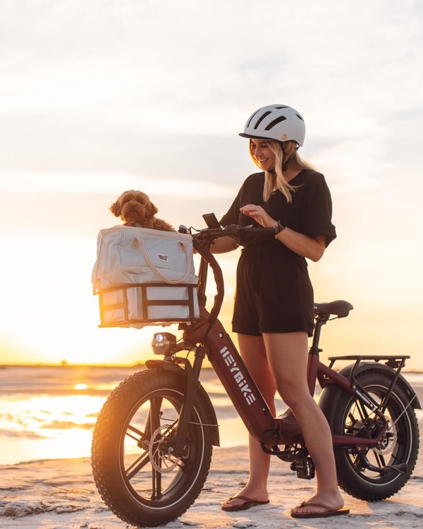 Heybike Review