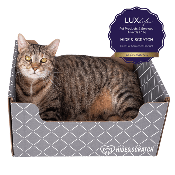 Hide & Scratch Extra-Large Cat Scratcher Box Review