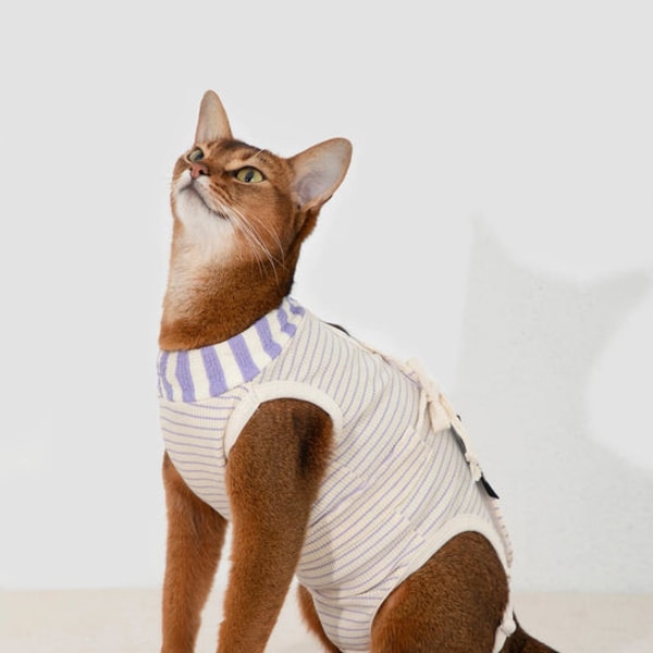 HiDREAM Cat Surgery Recovery Suit Review