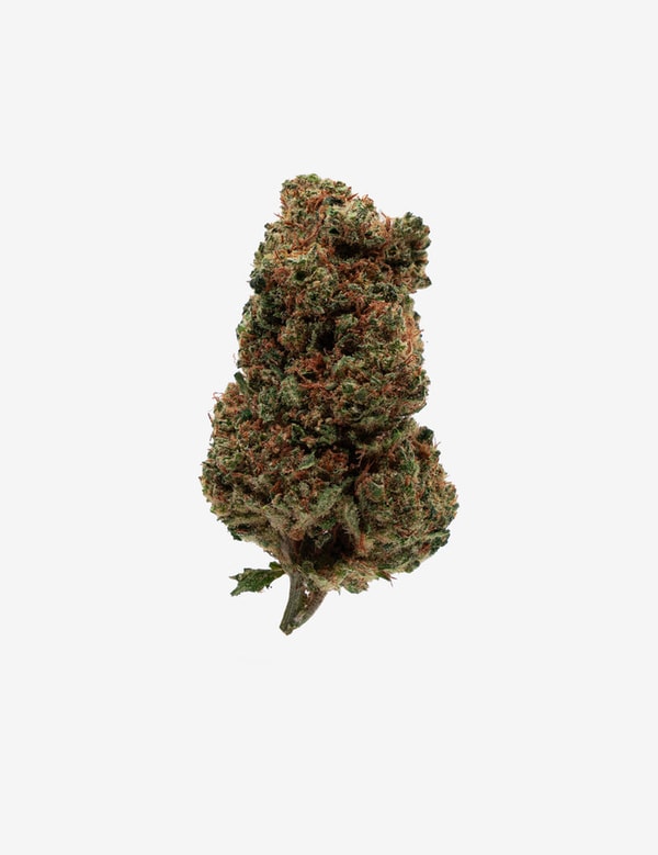 High Society Orange Bud CBD Avis