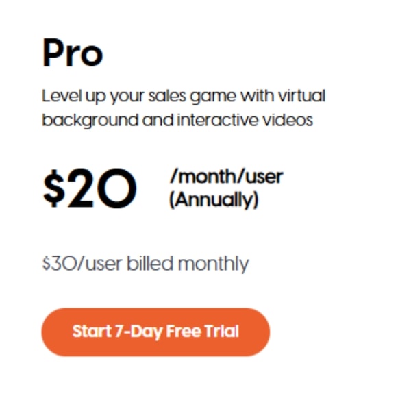 Hippo Video Pro Plan Review