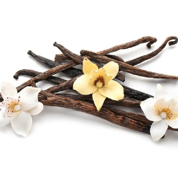 Native Vanilla Review: About Native Vanilla