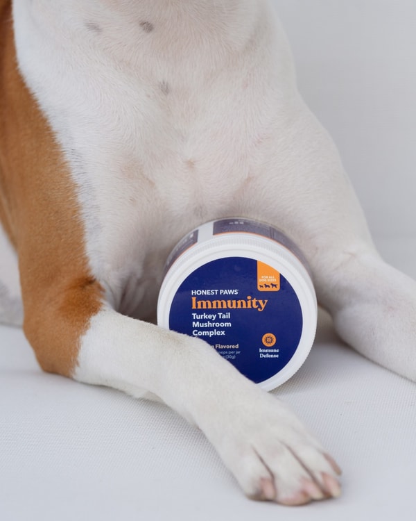 Overview of Honest Paws