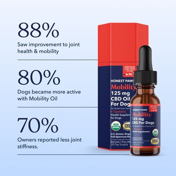 Honest Paws Mobility CBD Oil Review