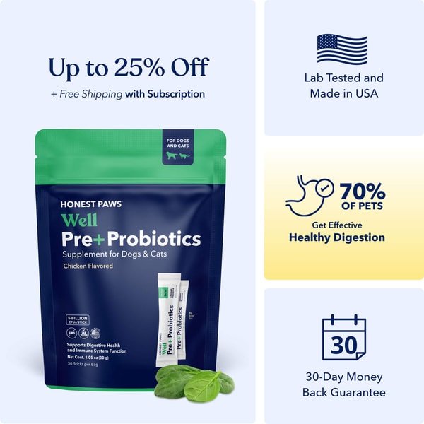 Honest Paws Probiotics With Prebiotics Review