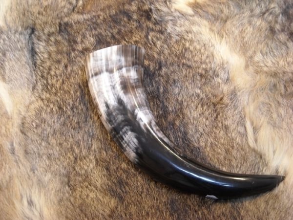 Hornschleiferei Trinkhorn Bewertungen