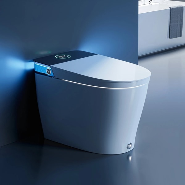 Overview of HOROW Toilet