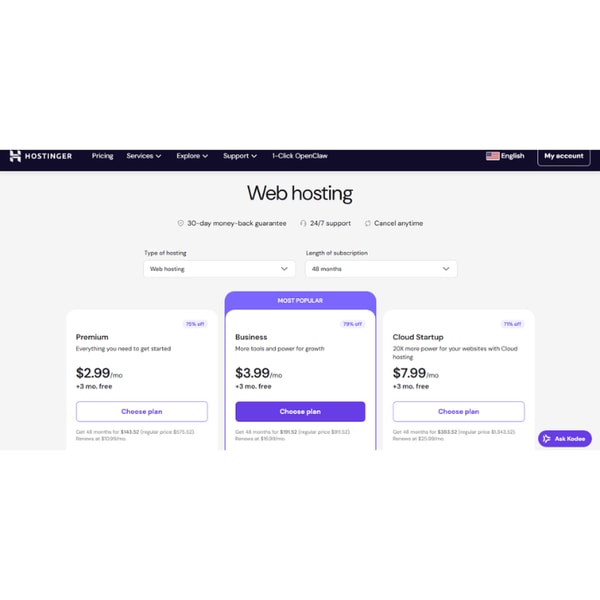 Hostinger  Business Web Hosting Review