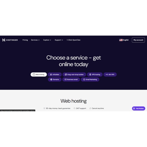 Hostinger Premium Web Hosting Review