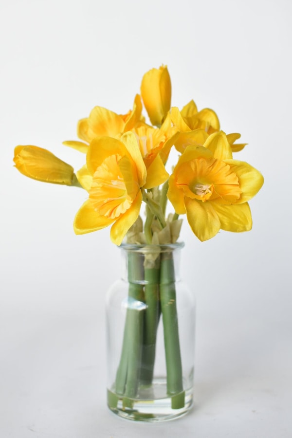 House by JSD Faux Daffodil Reviews