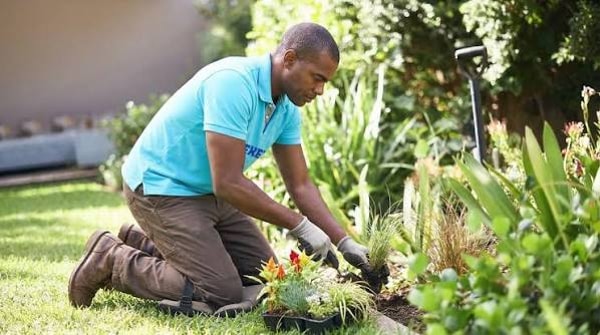 Housekeep Services Review