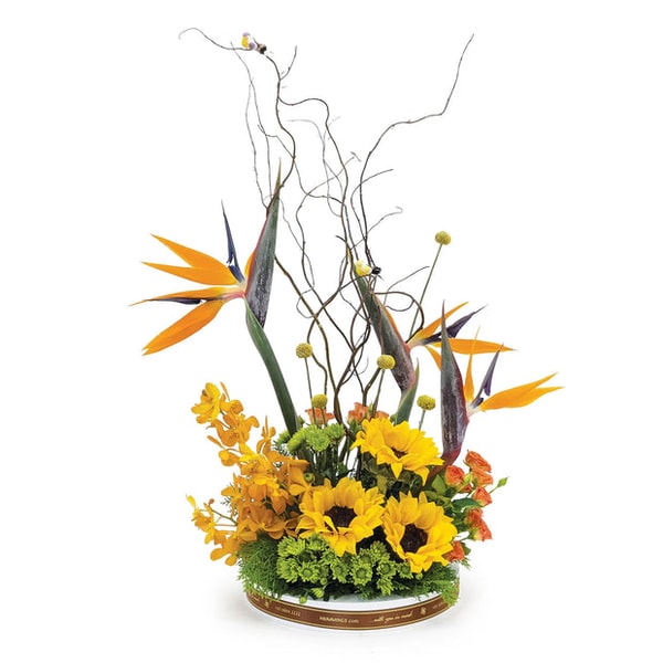 Humming Birds of Paradise Table Flowers Review