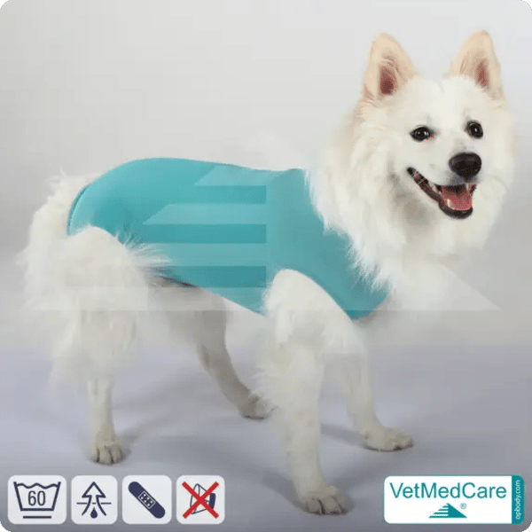 Hund OP Body Male Bewertung