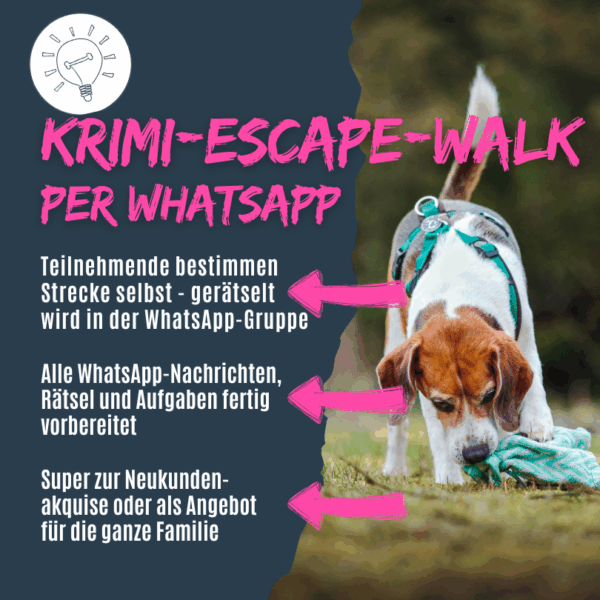 Hundeschulkonzepte Krimi-Escape-Walk Bewertung
