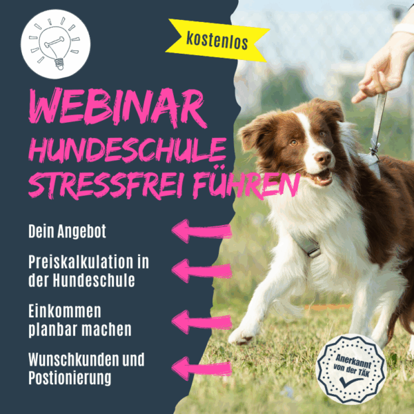 Hundeschulkonzepte Kostenloses Webinar Bewertung