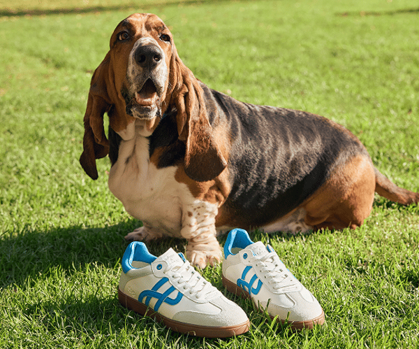 Hush Puppies Review