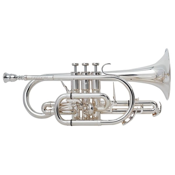 IKEBE GAKKI Besson BE928GT-2-0 Sovereign レビュー