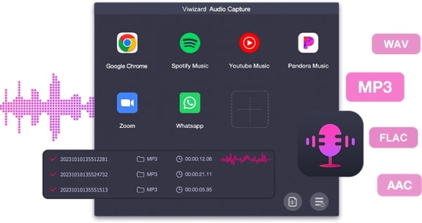 ViWizard Review
