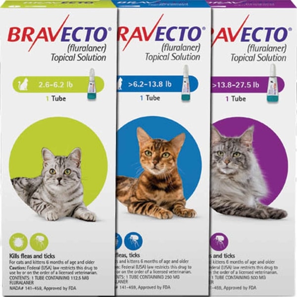 Pet Pharm Canada Bravecto Review
