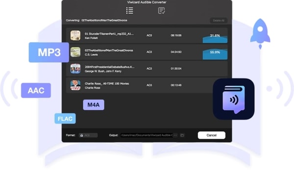 About ViWizard
