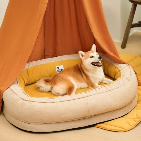 Funny Fuzzy Review: Funny Fuzzy Dog Bed Reviews