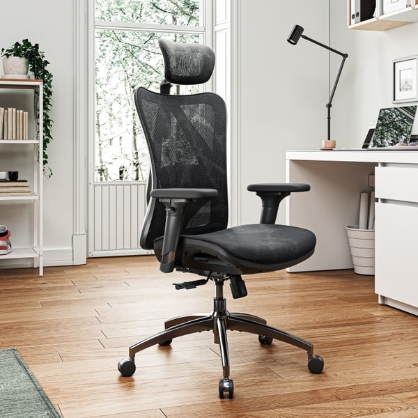 SIHOO Ergonomic Office Chair Review: About SIHOO Ergonomic Office Chair