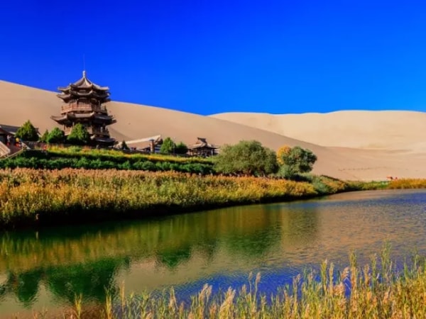 Wild Frontiers Travel The Great Silk Road Adventure: Xi'an to Istanbul Reviews