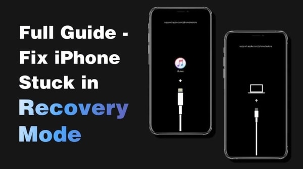 iMyFone Fixppo Reviews