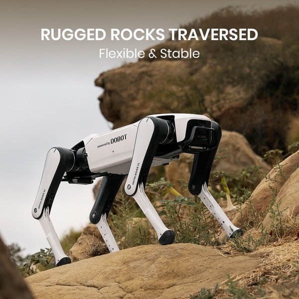 INFFNI Rover X1 Review