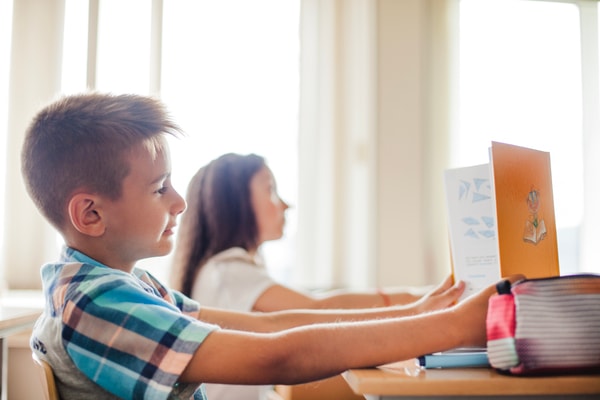 Institute of Reading Development Review