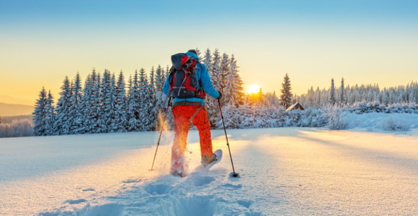 Insure & Escape Winter Sports Insurance Review