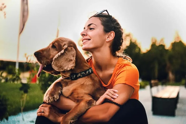 Insure Your Paws Lifetime Pet Insurance Reviews