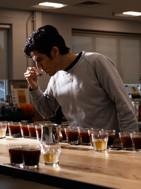 About Intelligentsia