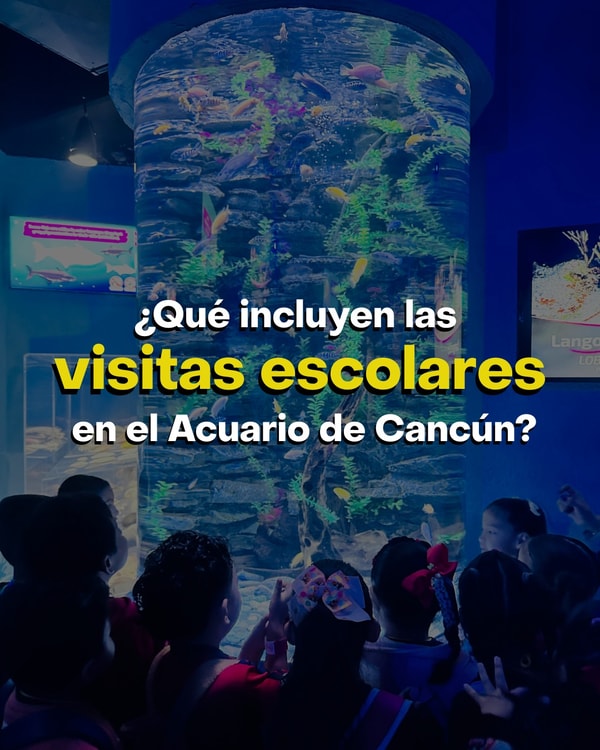 Interactive Aquarium Cancun Review