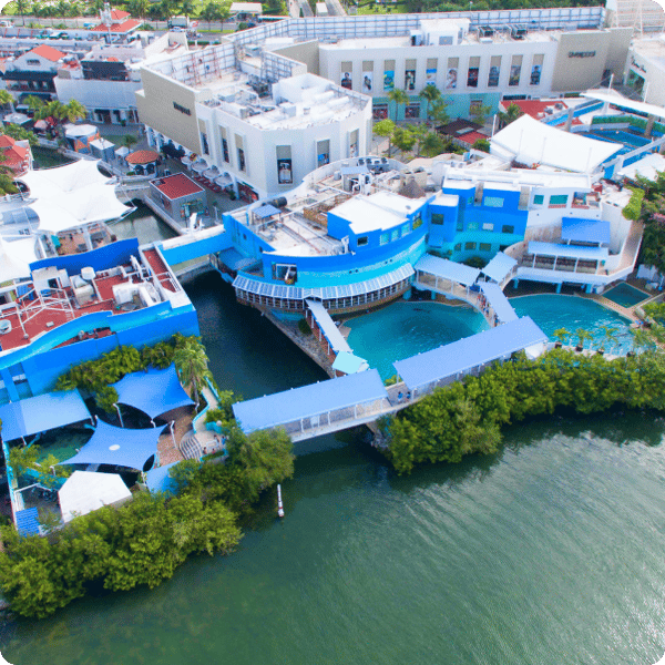Interactive Aquarium Cancun Aquarium Trek Review