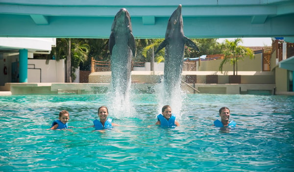 Interactive Aquarium Cancun Swim with Dolphins Review 