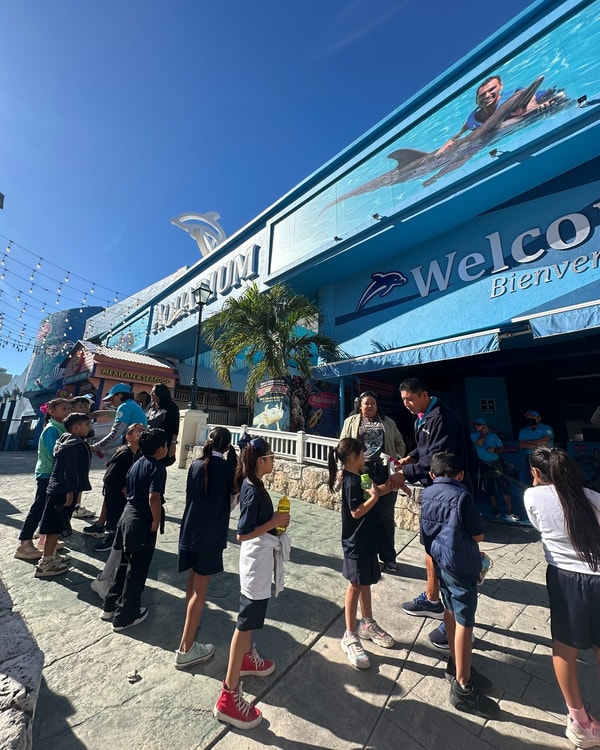 About Interactive Aquarium Cancun 