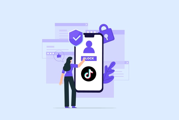 iProVPN Year Plan Review