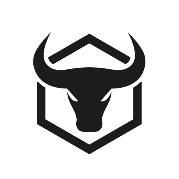 Iron Bull Strength vs Rogue Fitness comparison