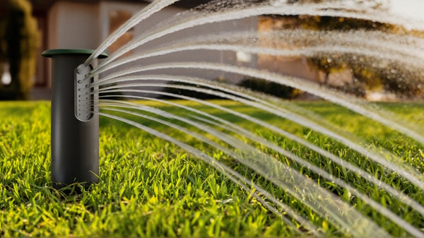 Irrigreen Review